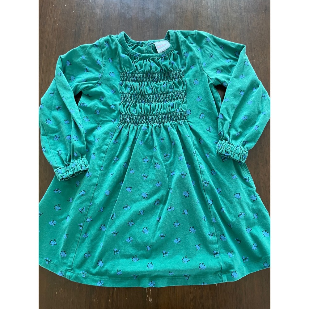 Hanna Andersson Girls Green Floral Smocked Long Sleeve Dress Size US 4 Pockets